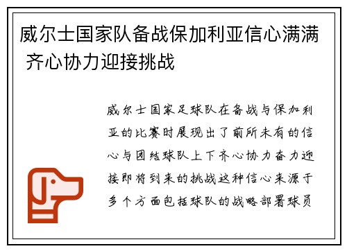 威尔士国家队备战保加利亚信心满满 齐心协力迎接挑战
