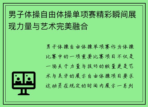 男子体操自由体操单项赛精彩瞬间展现力量与艺术完美融合