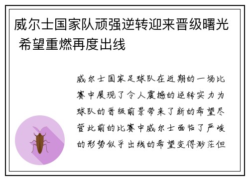 威尔士国家队顽强逆转迎来晋级曙光 希望重燃再度出线