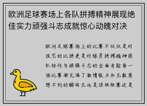 欧洲足球赛场上各队拼搏精神展现绝佳实力顽强斗志成就惊心动魄对决
