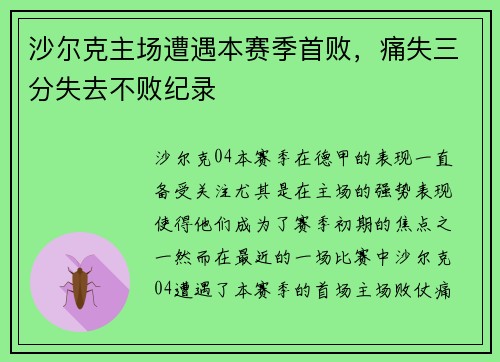 沙尔克主场遭遇本赛季首败，痛失三分失去不败纪录