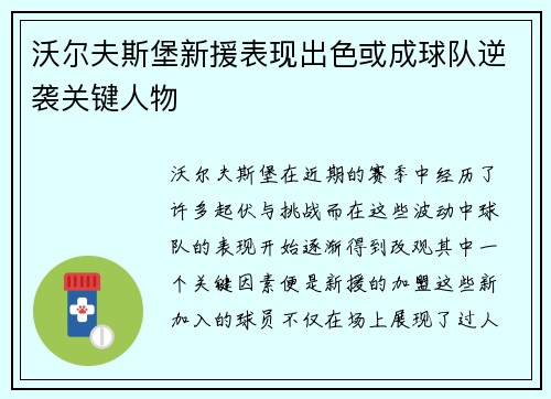 沃尔夫斯堡新援表现出色或成球队逆袭关键人物