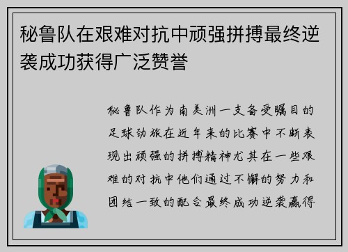 秘鲁队在艰难对抗中顽强拼搏最终逆袭成功获得广泛赞誉